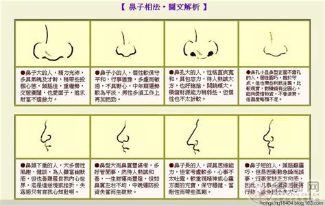 露鼻孔 面相|麦玲玲面相讲座之 鼻子 – 人相学